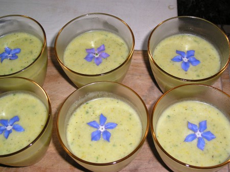 Crème de lavande et bourraches